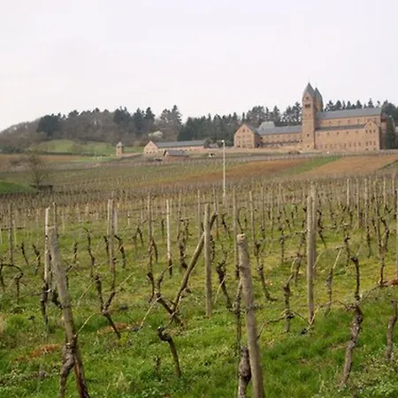 Hotel Weingut Jacob Lill Iv. Nachfolger Rüdesheim am Rhein